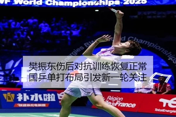 樊振东伤后对抗训练恢复正常 国乒单打布局引发新一轮关注
