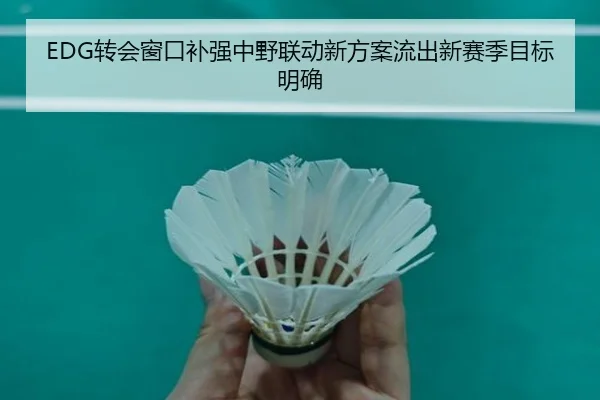 EDG转会窗口补强中野联动新方案流出新赛季目标明确